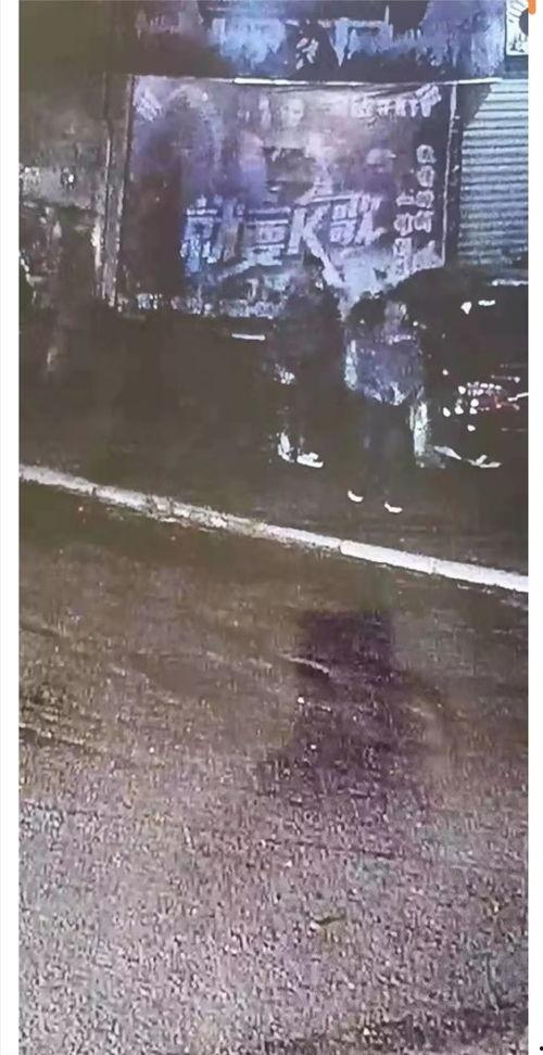 老街诈骗爆料视频最新,最新爆料视频曝光惊人内幕